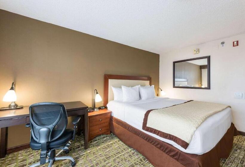 장애인을 위한 킹사이즈 침대 스탠다드 룸, Clarion Hotel & Suites