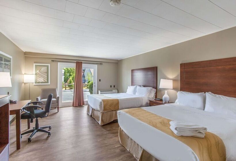 Номер Стандарт 2 Двуспальные Кровати, Quality Inn & Suites