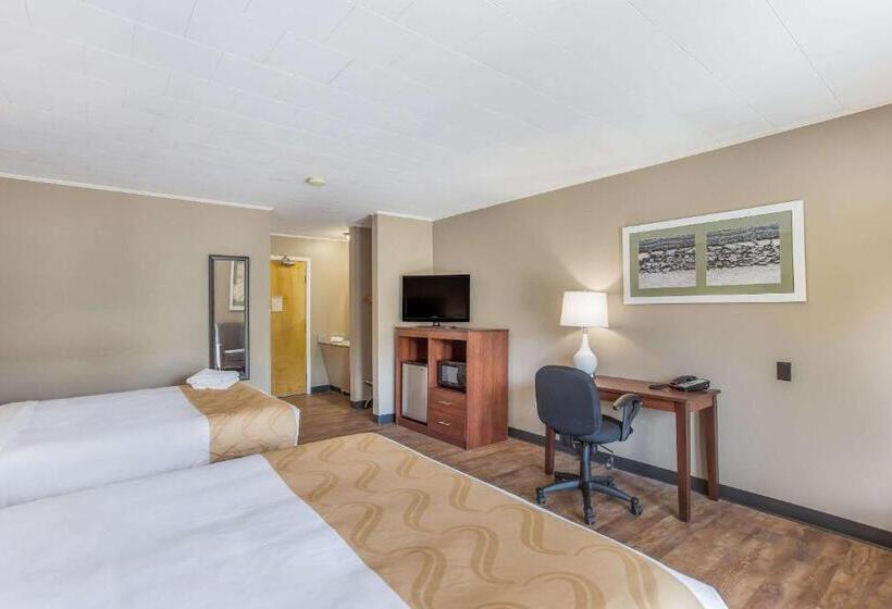 Номер Стандартный Кровать Куин, Quality Inn & Suites