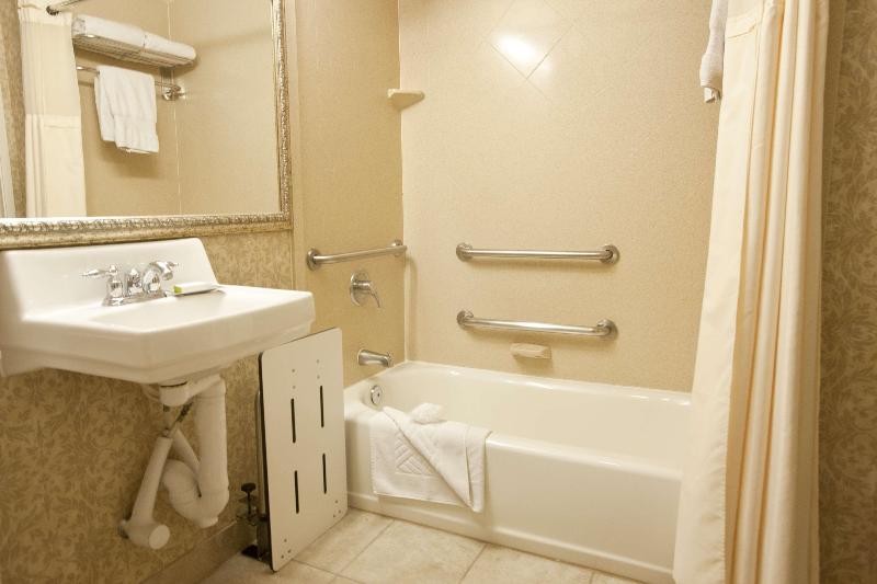 اتاق استاندارد با تخت بزرگ, Wyndham Midland Downtown