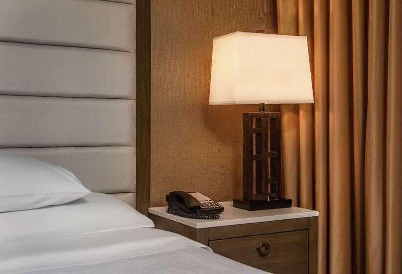 이그제큐티브 룸 킹사이즈 침대, Embassy Suites Hotel Denver Tech Center