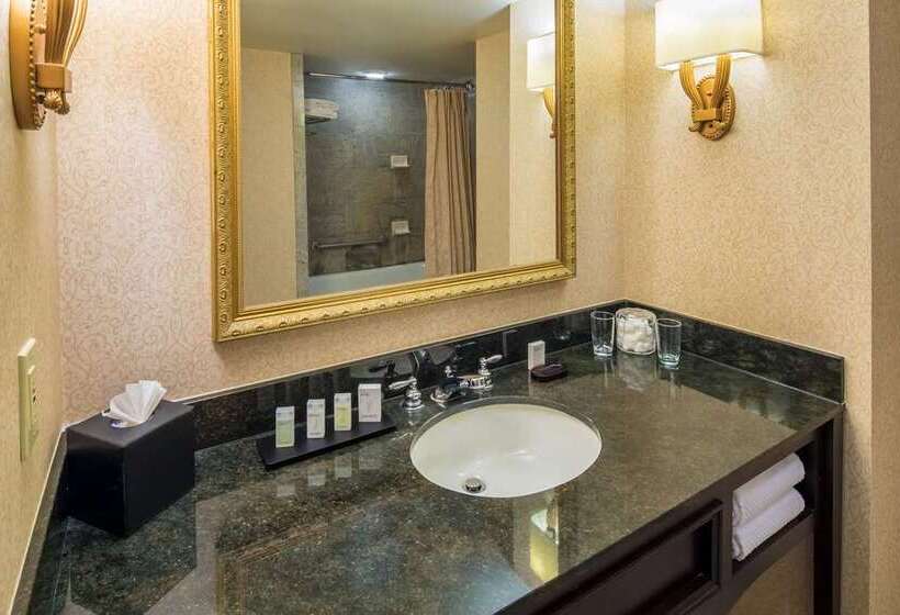 이그제큐티브 룸 킹사이즈 침대, Embassy Suites Hotel Denver Tech Center