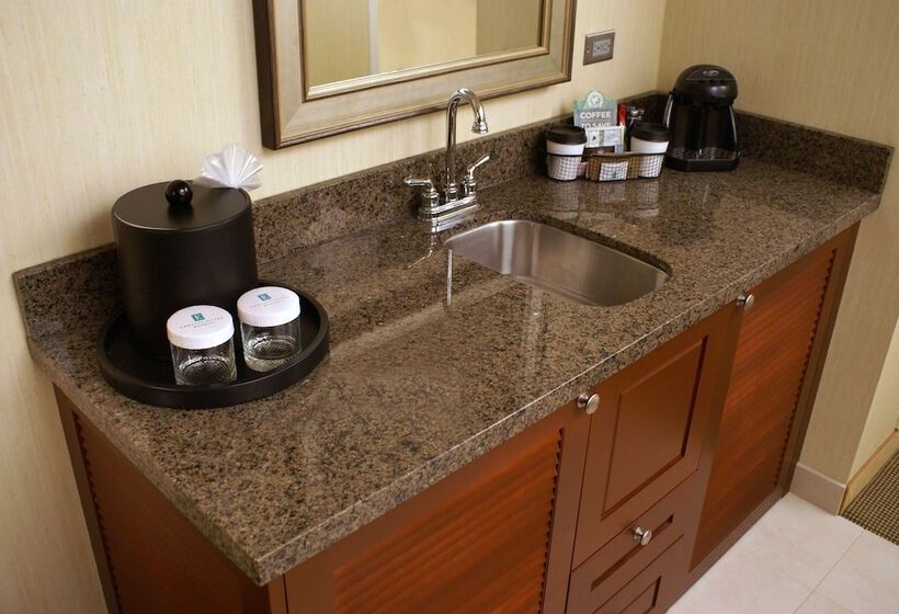 프리미엄 스위트, Embassy Suites Hotel Denver Tech Center