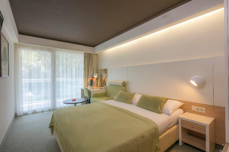 اتاق استاندارد با چشم‌انداز پارک, Family Hotel Vespera