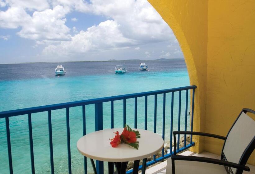 豪华海景房, Divi Flamingo Beach Resort