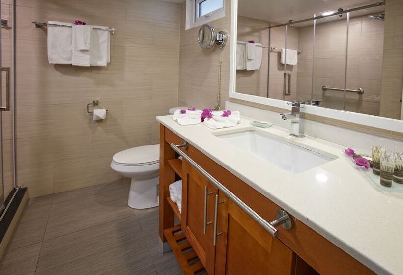 标准间, Divi Flamingo Beach Resort