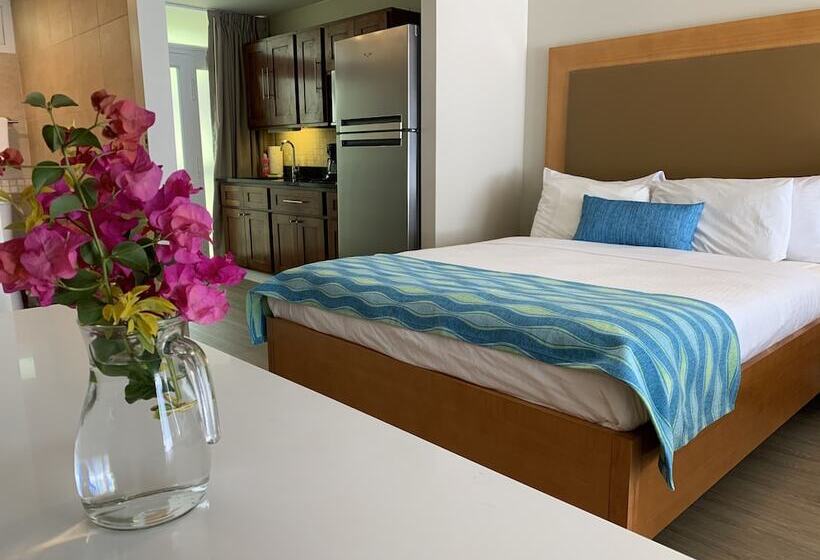 标准工作室, Divi Flamingo Beach Resort