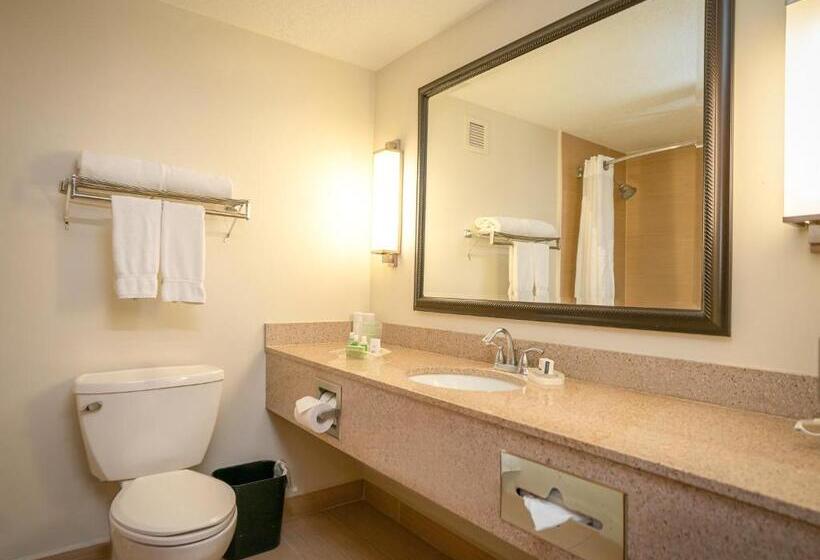 اتاق اجرایی با تخت بزرگ, Holiday Inn Mayaguez & Tropical Casino, An Ihg