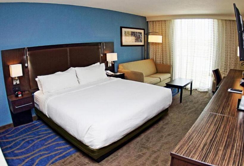 اتاق استاندارد با تخت بزرگ, Holiday Inn Mayaguez & Tropical Casino, An Ihg