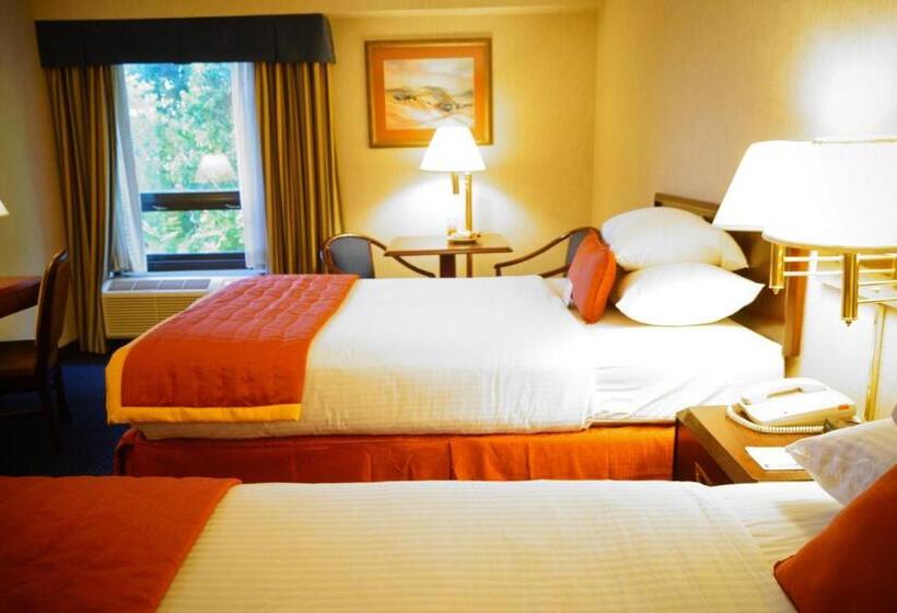 Номер Стандарт 2 Двуспальные Кровати, Wyndham Garden Monterrey Norte