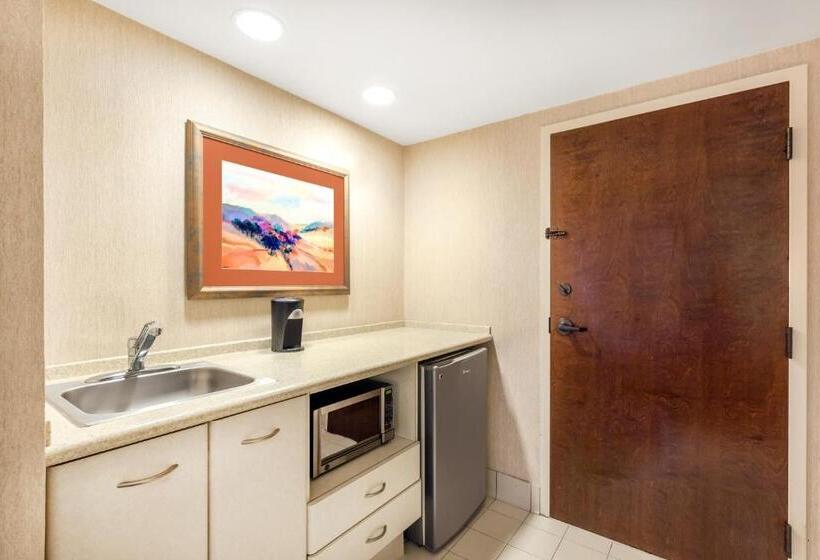 Люкс Кровать Кинг, Wyndham Garden Monterrey Norte