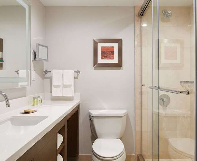 اتاق استاندارد با تخت بزرگ, Doubletree By Hilton Orlando Airport