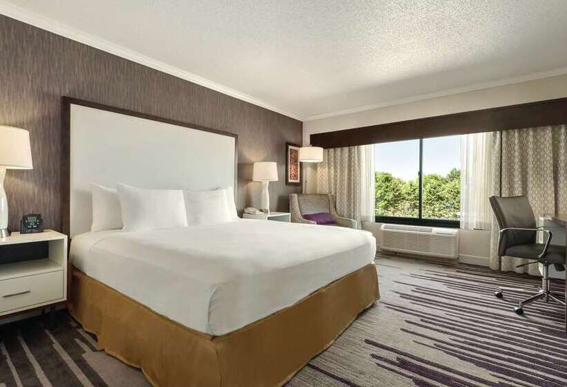 اتاق استاندارد با تخت بزرگ, Doubletree By Hilton Orlando Airport