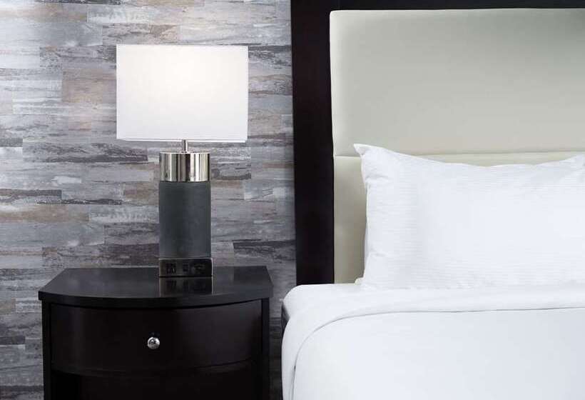 اتاق استاندارد با تخت بزرگ, Doubletree By Hilton Orlando Airport