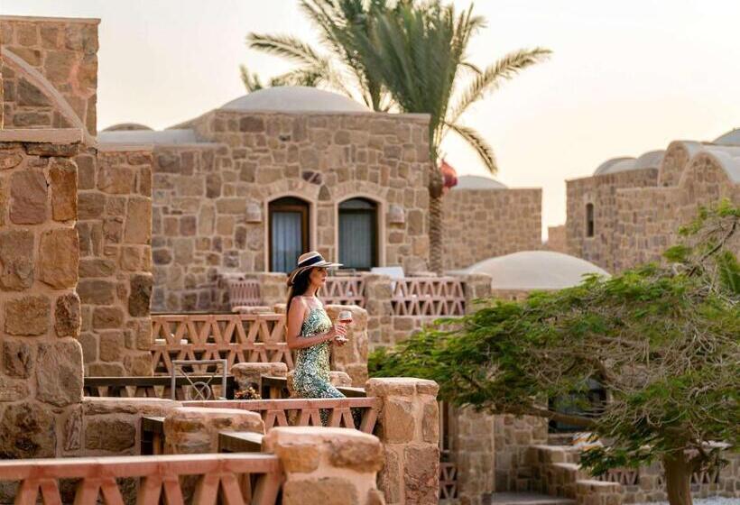 اتاق پرمیوم با چشم‌انداز دریا, Movenpick Resort El Quseir