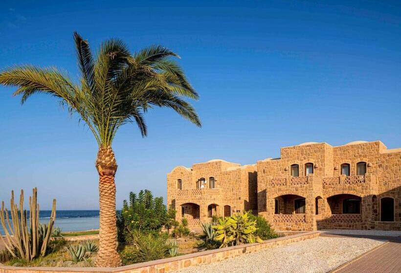 اتاق سوپریور با چشم‌انداز جانبی دریا, Movenpick Resort El Quseir