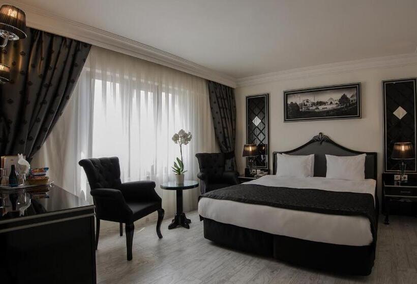 デラックスルーム, Yigitalp Istanbul