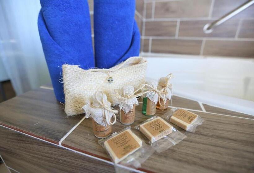 جناح جونيور, Cozumel Hotel & Resort Trademark Collection By Wyndham
