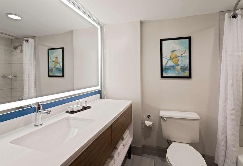 장애인을 위한 스탠다드 룸, Embassy Suites By Hilton Tampa Usf Near Busch Gardens