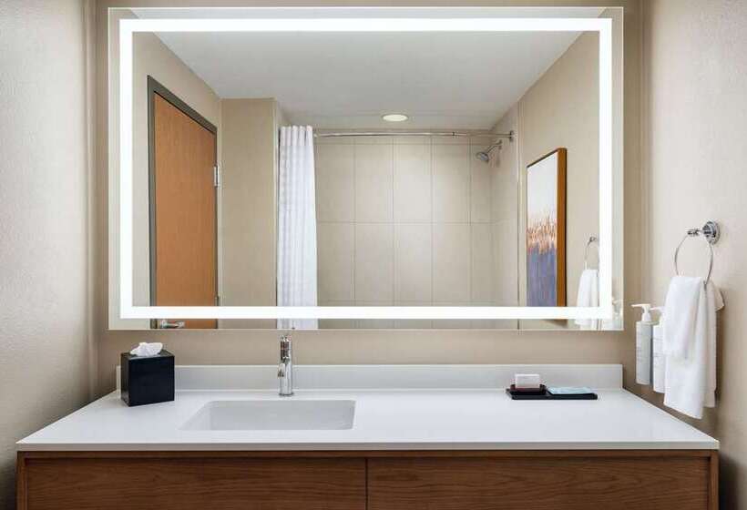 스위트 킹사이즈 침대, Embassy Suites By Hilton Tampa Usf Near Busch Gardens
