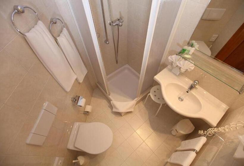 Номер Стандарт с Балконом, Typically Swiss Hotel Altana