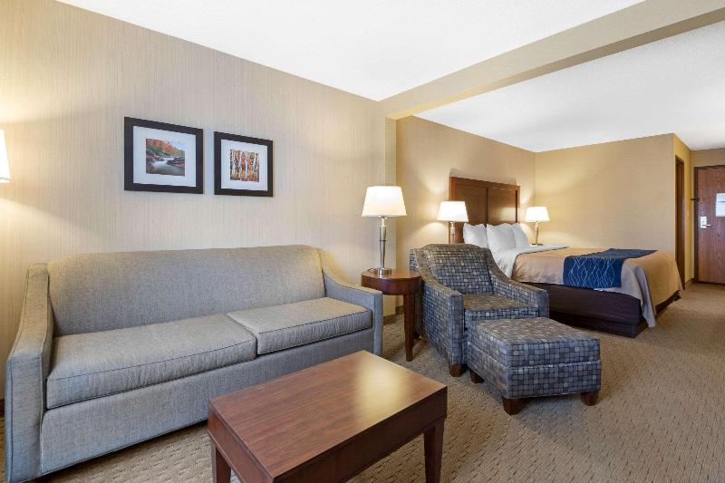 Люкс Кровать Кинг, Comfort Inn