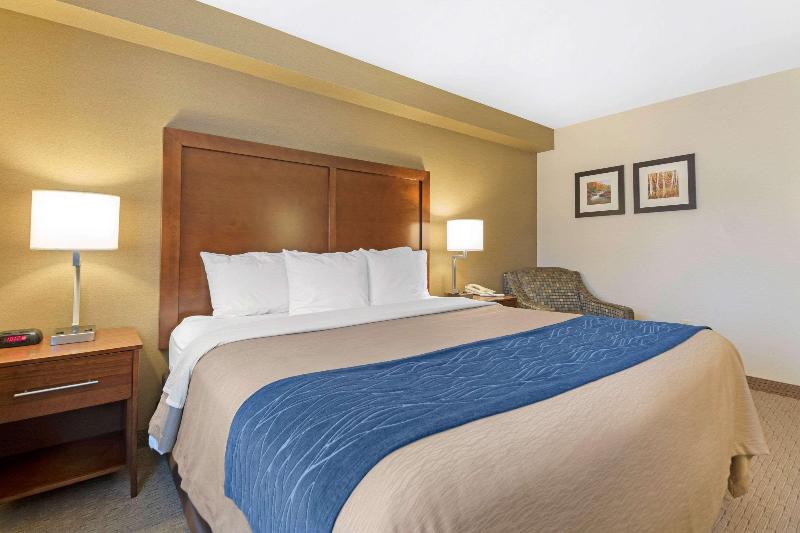 Номер Стандарт, Comfort Inn