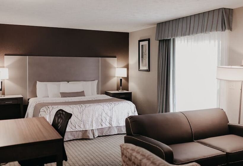 キングサイドベッドのスタンダードワンルーム, Eastland Suites Hotel & Conference Center