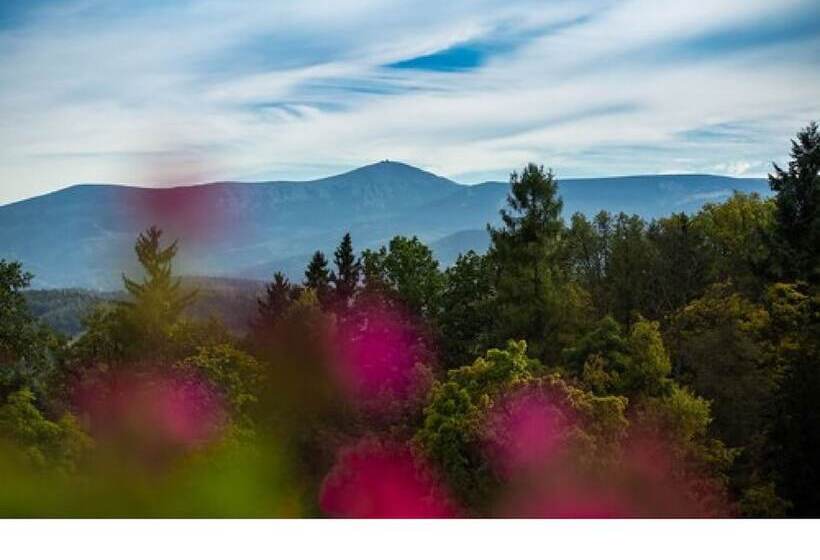 Номер Стандарт Двуспальная Кровать, Mercure Jelenia Gora
