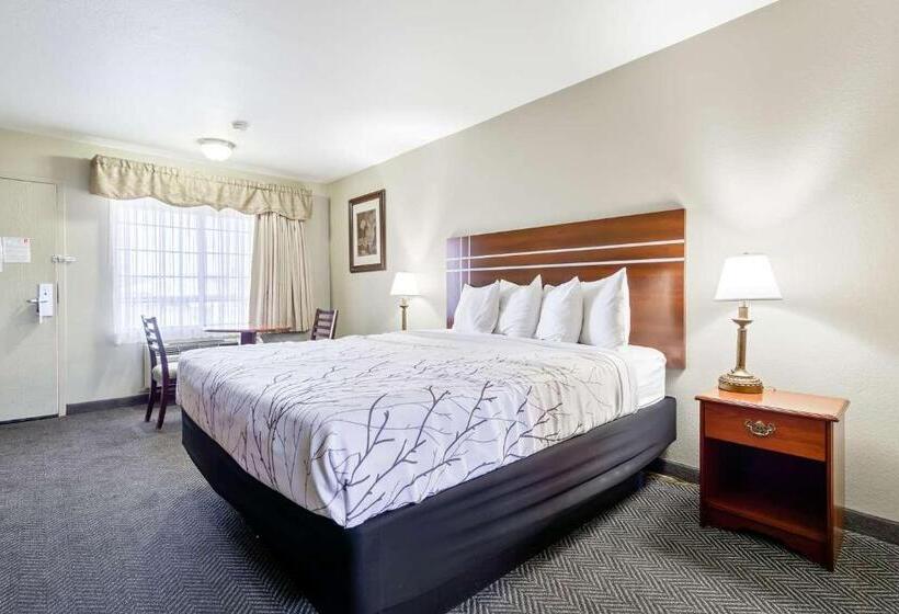 标准单人间, Rancho San Diego Inn & Suites