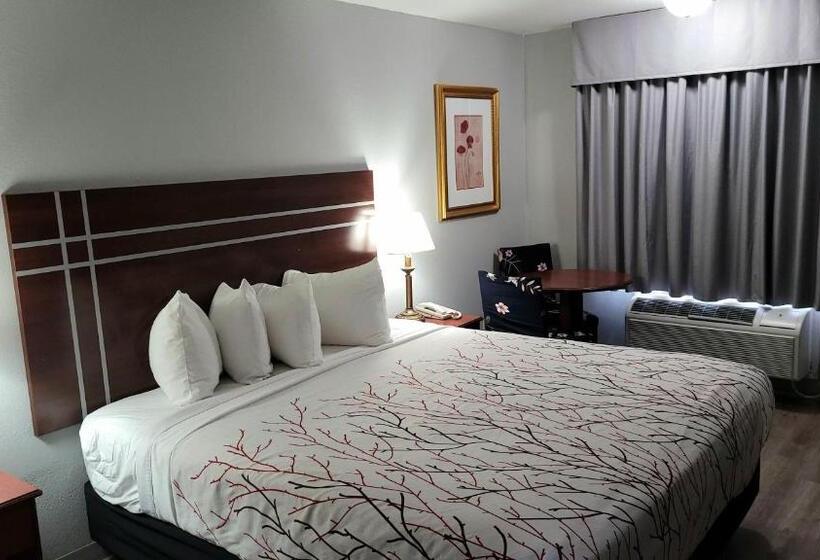 标准单人间, Rancho San Diego Inn & Suites