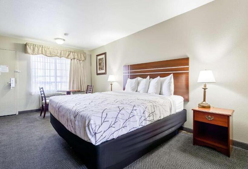 适合残疾人士使用的带超级大床的标准间, Rancho San Diego Inn & Suites