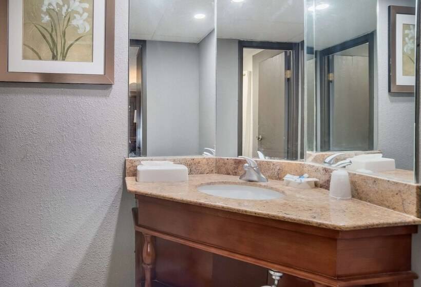 Номер Стандарт 2 Двуспальные Кровати, Rodeway Inn
