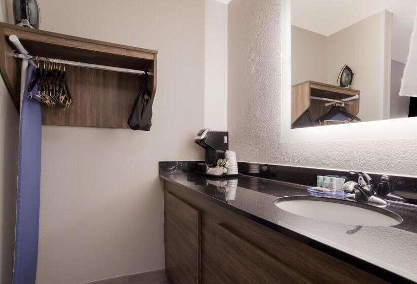 스탠다드 룸 킹사이즈 침대, Best Western Flagship Inn