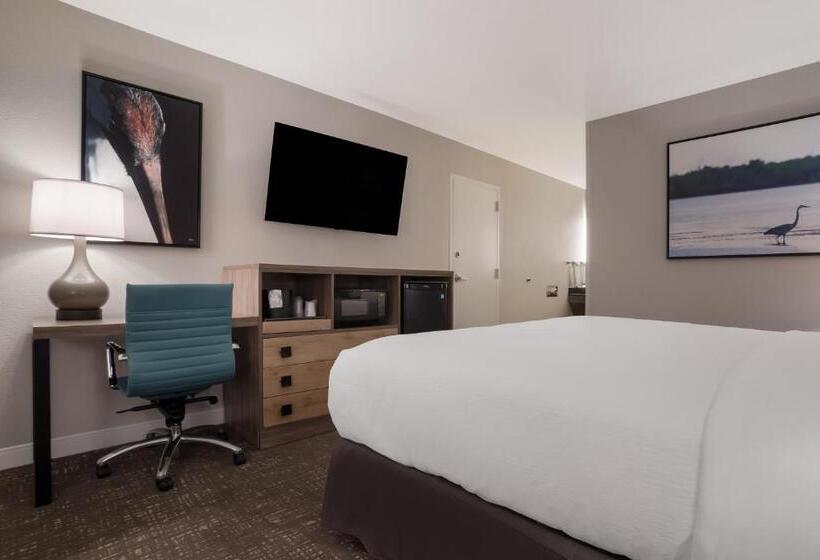 장애인을 위한 킹사이즈 침대 스탠다드 룸, Best Western Flagship Inn
