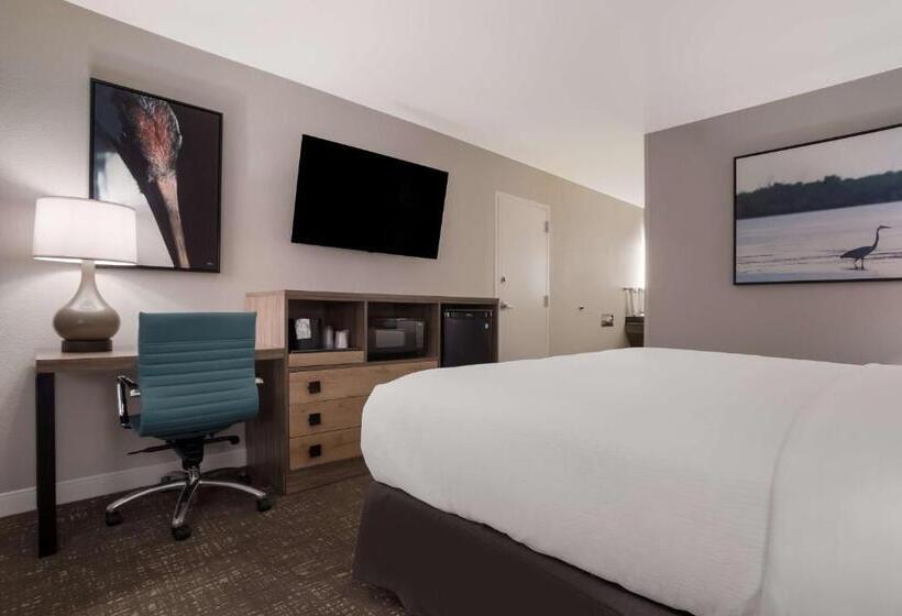 장애인을 위한 킹사이즈 침대 스탠다드 룸, Best Western Flagship Inn