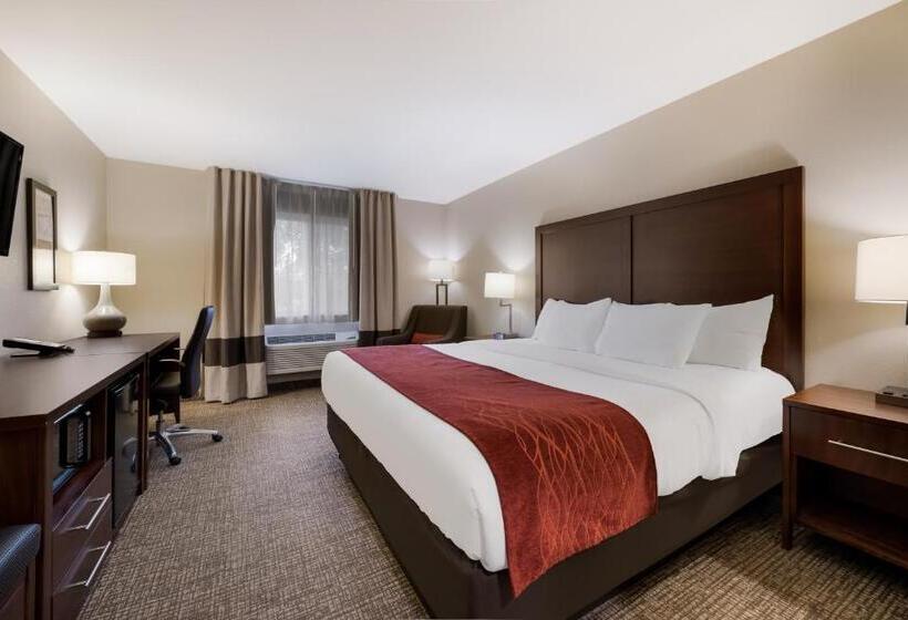 스탠다드 룸 킹사이즈 침대, Comfort Inn Onalaska  La Crosse Area