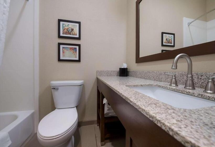 스탠다드 룸, Comfort Inn Onalaska  La Crosse Area