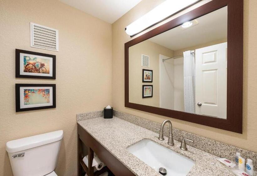 스위트, Comfort Inn Onalaska  La Crosse Area