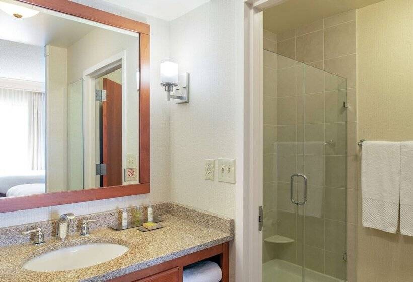 Люкс, Doubletree Suites By Hilton Hotel Mt. Laurel