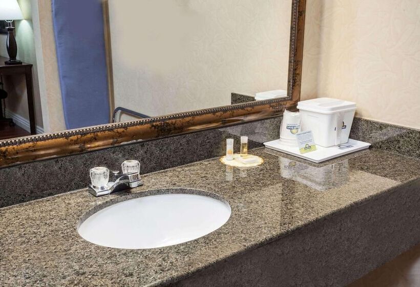 Номер Deluxe, Hospitality Inn