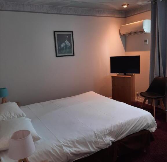 Номер Superior, Logis Hôtel Restaurant Le Medicis