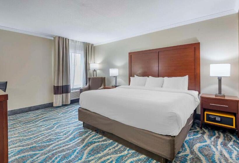 Стандартный Номер Кровать Кинг, Comfort Inn Asheville East Blue Ridge Pkwy Access