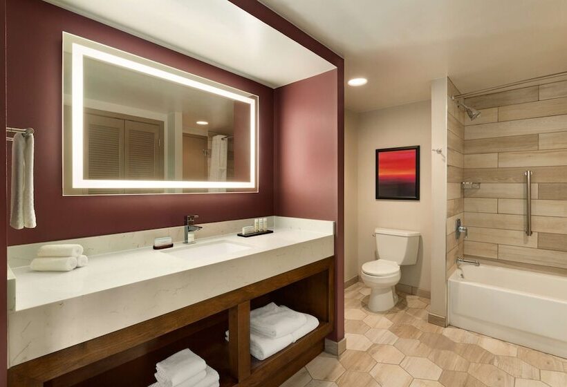 Люкс Адаптированный для Инвалидов, Embassy Suites By Hilton Phoenix Downtown North