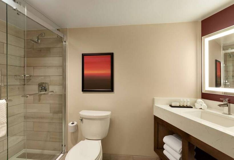 Люкс Адаптированный для Инвалидов, Embassy Suites By Hilton Phoenix Downtown North