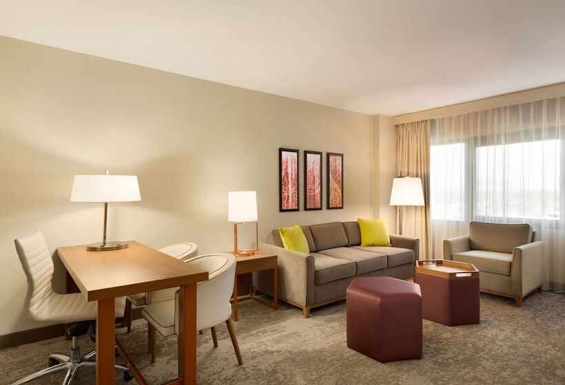 Люкс Адаптированный для Инвалидов, Embassy Suites By Hilton Phoenix Downtown North