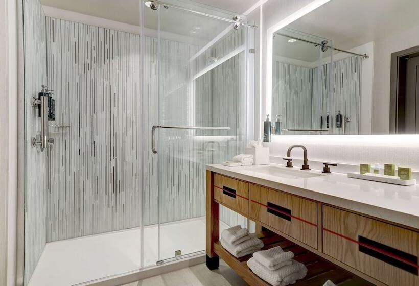 Номер Deluxe Адаптированный для Инвалидов, Hilton University Of Houston