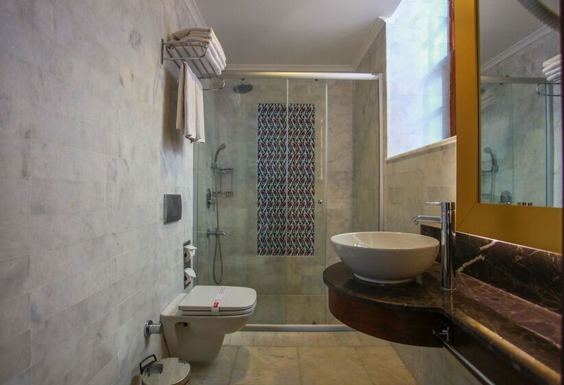 اتاق لوکس, Alp Pasa Hotel   Special Class