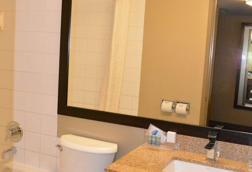 Люкс, Best Western Terrace Inn