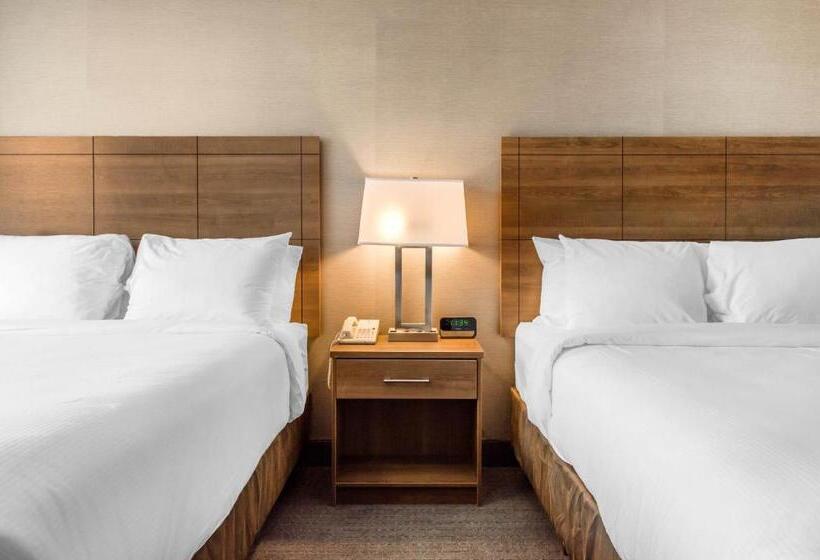 ２ダブルベッドのスタンダードルーム, Quality Hotel Dorval Aeroport